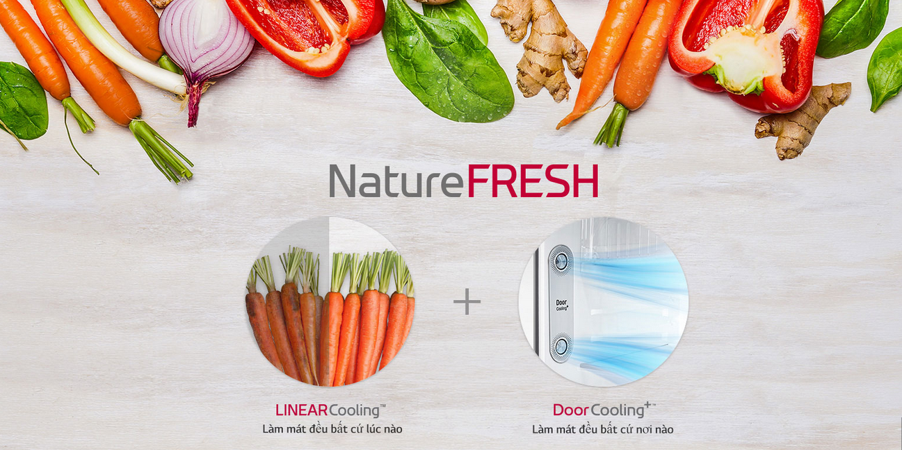 Tủ lạnh LG Inverter GN-L422GB-nature